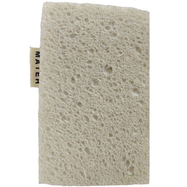 Sponge For Sale - Image 2