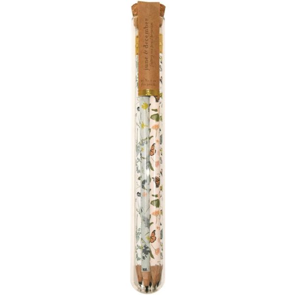Fluttery Mix Pencil Terrarium Set Online