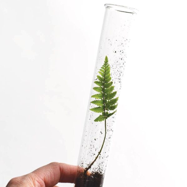 Garden Mix Pencil Terrarium Set on Sale - Image 4