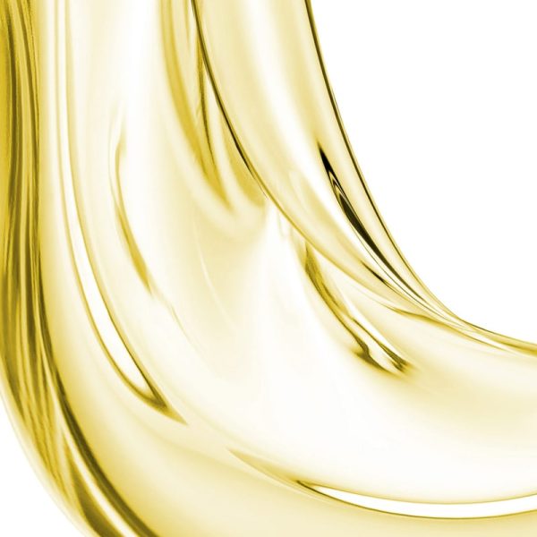 L Huile de Leonor Greyl - Pre-Shampoo Treatment Oil for Dry Hair, Protection from the Sun and Water Online - Image 2