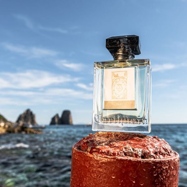 1681 Eau de Parfum Online now - Image 3