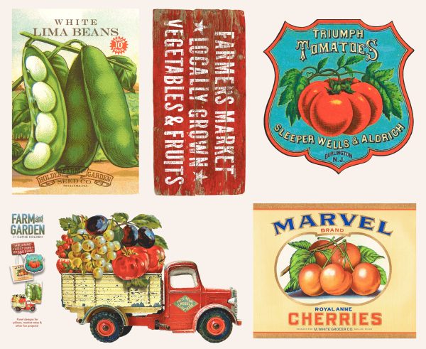 Farm and Garden - 36  x 44  Pillow Panel - Cotton Canvas in Milk - Cathe Holden - 7482 11CV - Fabric Panel For Cheap